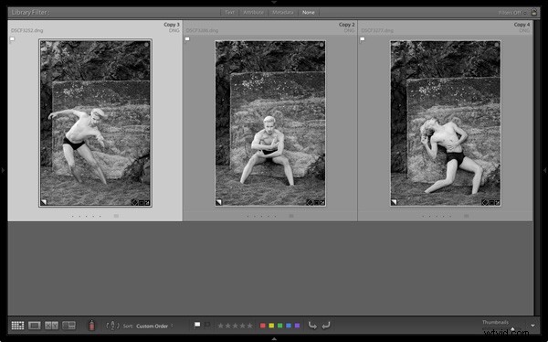 How to Create Stunning Triptychs in Adobe Lightroom: Step-by-Step Guide