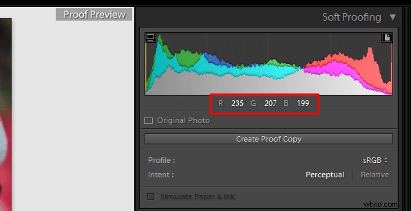 10 Essential Lightroom Tips and Shortcuts to Supercharge Your Workflow