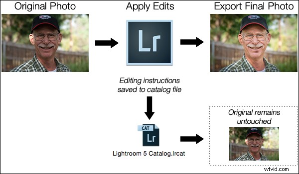 Photoshop vs. Lightroom: Key Differences Explained for Photographers