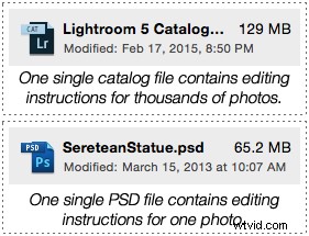 Photoshop vs. Lightroom: Key Differences Explained for Photographers
