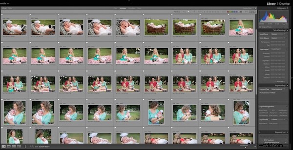 Photoshop vs. Lightroom: Key Differences Explained for Photographers