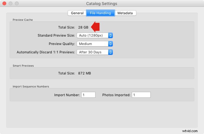 Master Lightroom s Library Module: 5 Essential Insights Every Photographer Needs