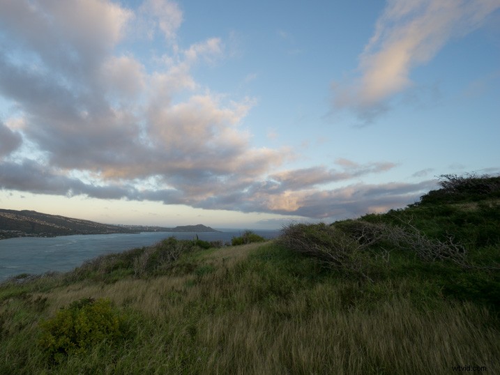 Slash Photo Editing Time: Automate Your Lightroom Workflow Like a Pro