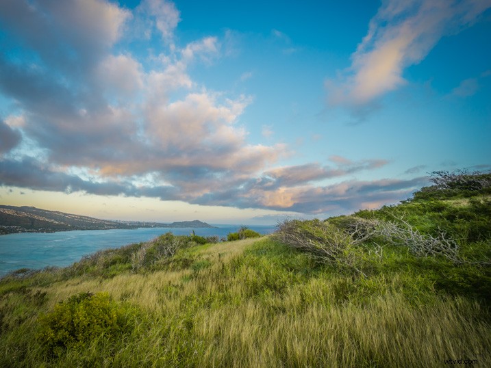 Slash Photo Editing Time: Automate Your Lightroom Workflow Like a Pro