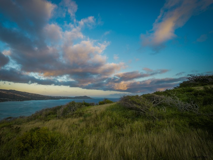 Slash Photo Editing Time: Automate Your Lightroom Workflow Like a Pro