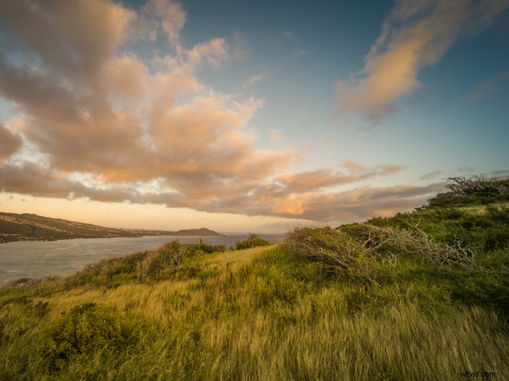 Slash Photo Editing Time: Automate Your Lightroom Workflow Like a Pro