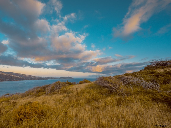 Slash Photo Editing Time: Automate Your Lightroom Workflow Like a Pro