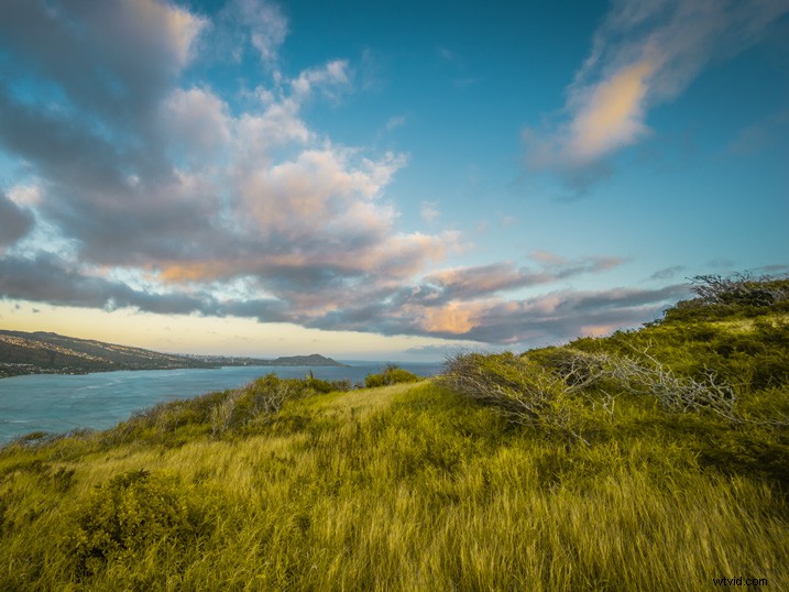 Slash Photo Editing Time: Automate Your Lightroom Workflow Like a Pro