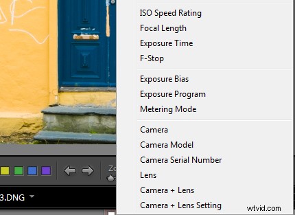 Master Lightroom s Loupe Info Overlay: Enable, Customize, and Boost Your Photography Skills