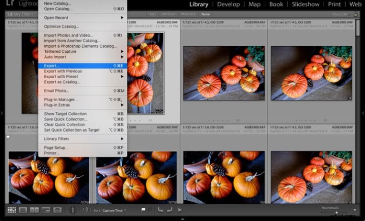 Master Lightroom Export: How to Save Images Perfectly from Raw Files