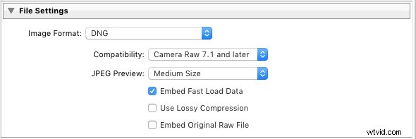 Master Lightroom Export: How to Save Images Perfectly from Raw Files