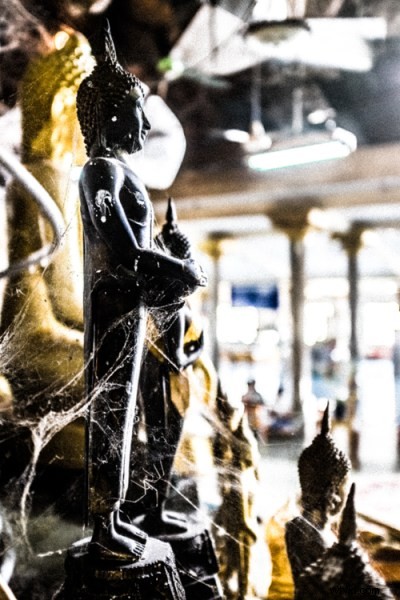 Master 5 Stunning Photo Looks in Lightroom: Pro Editing Guide