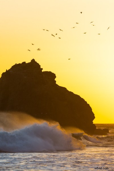 Master 5 Stunning Photo Looks in Lightroom: Pro Editing Guide