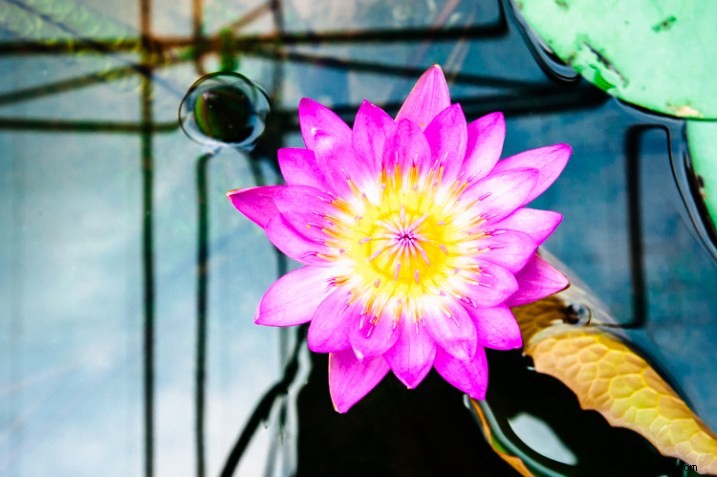 Master 5 Stunning Photo Looks in Lightroom: Pro Editing Guide