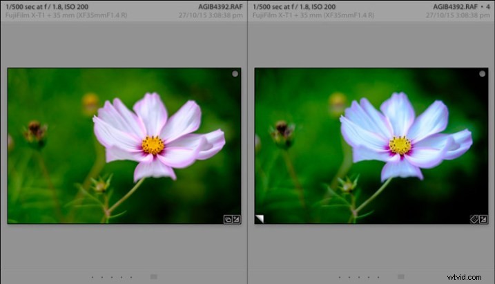 5 Expert Tips to Master Lightroom Virtual Copies and Boost Your Workflow