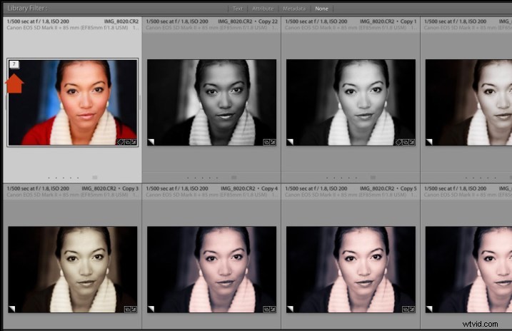 5 Expert Tips to Master Lightroom Virtual Copies and Boost Your Workflow