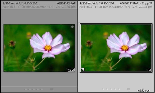 5 Expert Tips to Master Lightroom Virtual Copies and Boost Your Workflow