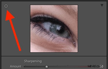 Master Basic Portrait Editing in Lightroom: 5-Minute Pro Guide