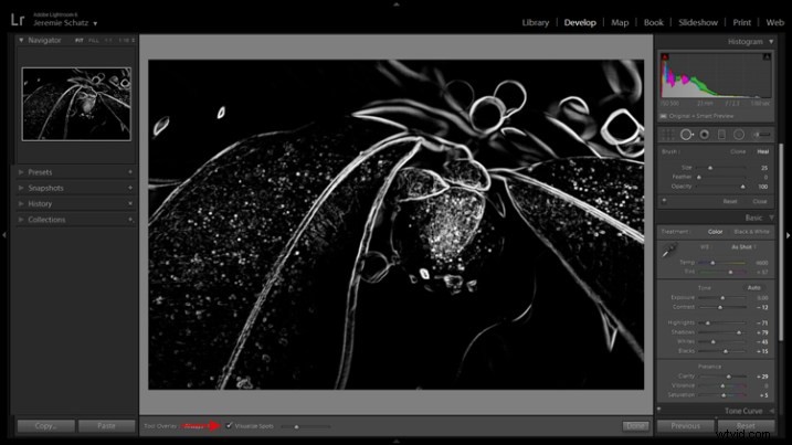 5 Compelling Reasons to Upgrade to the Latest Adobe Lightroom