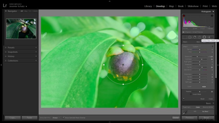 5 Compelling Reasons to Upgrade to the Latest Adobe Lightroom