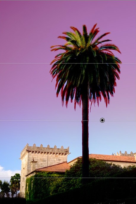 Master Lightroom Local Adjustments: Precision Editing Tools Guide