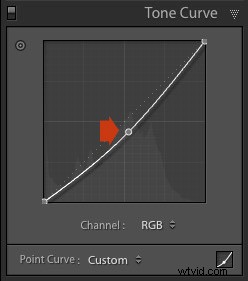 Master Lightroom Develop Module: Next Steps with Tone Curve, HSL/Color, and Split Toning