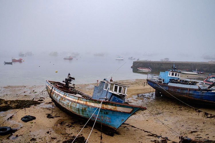 Master Lightroom Develop Module: Next Steps with Tone Curve, HSL/Color, and Split Toning