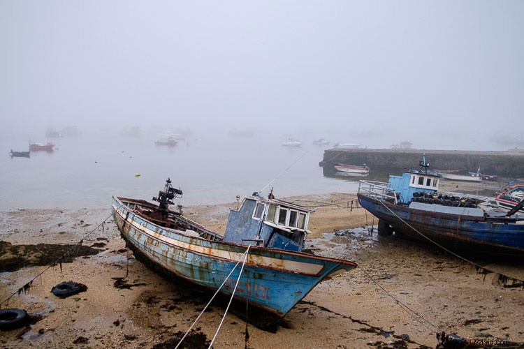 Master Lightroom Develop Module: Next Steps with Tone Curve, HSL/Color, and Split Toning