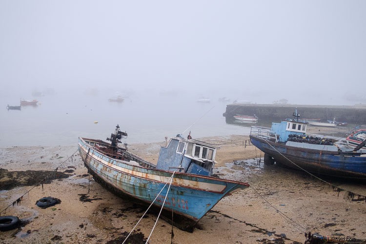 Master Lightroom Develop Module: Next Steps with Tone Curve, HSL/Color, and Split Toning