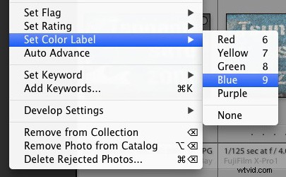 How to Efficiently Organize and Manage Your Photos in Lightroom