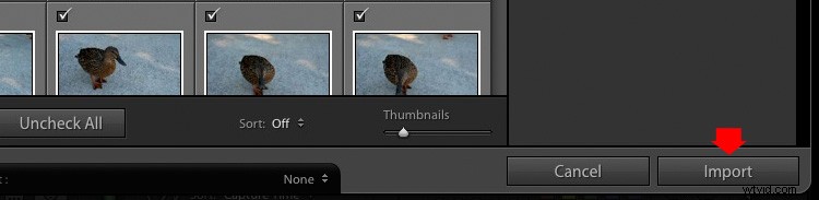 How to Import Photos into Lightroom: Beginner s Step-by-Step Guide