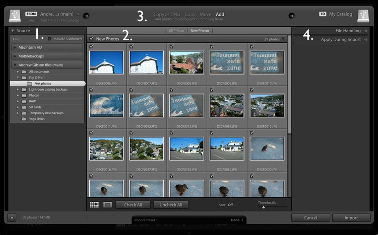 How to Import Photos into Lightroom: Beginner s Step-by-Step Guide