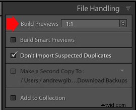 How to Import Photos into Lightroom: Beginner s Step-by-Step Guide