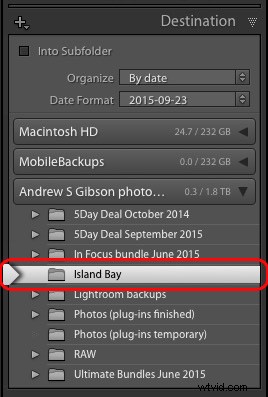 How to Import Photos into Lightroom: Beginner s Step-by-Step Guide