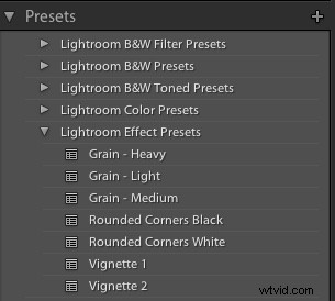 5 Essential Lightroom Tips for Beginners