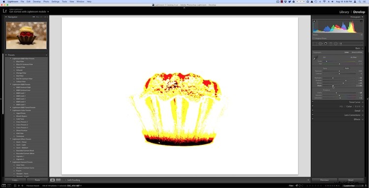5 Essential Lightroom Tips for Beginners