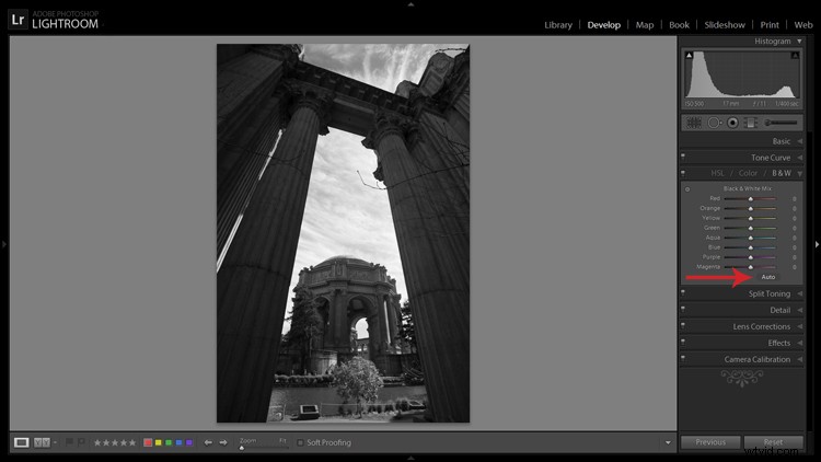 Master Black & White Conversion in Lightroom: Expert Guide
