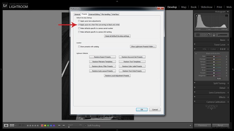 Master Black & White Conversion in Lightroom: Expert Guide