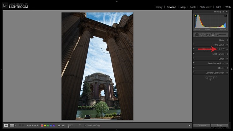 Master Black & White Conversion in Lightroom: Expert Guide