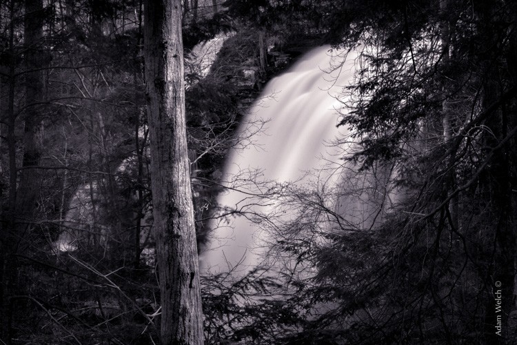 Master Split Toning for Stunning Black & White Images in Lightroom