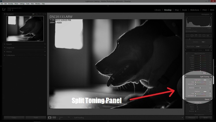 Master Split Toning for Stunning Black & White Images in Lightroom