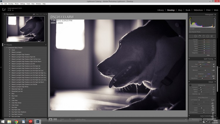 Master Split Toning for Stunning Black & White Images in Lightroom