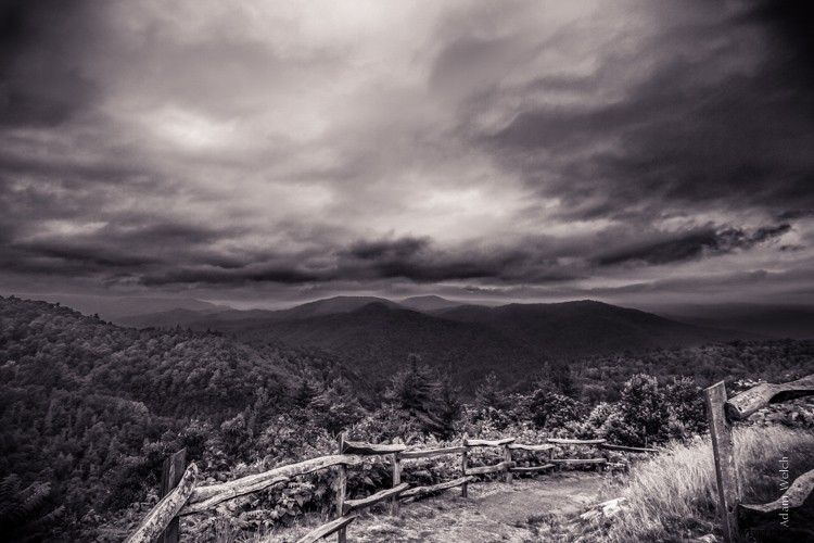 Master Split Toning for Stunning Black & White Images in Lightroom