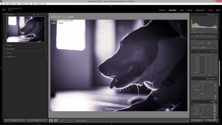 Master Split Toning for Stunning Black & White Images in Lightroom