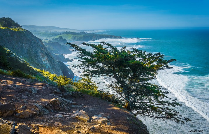 Master Photography Composition with Adobe Lightroom: A Step-by-Step Guide