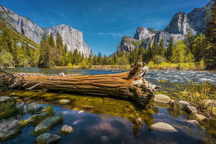 Master Photography Composition with Adobe Lightroom: A Step-by-Step Guide