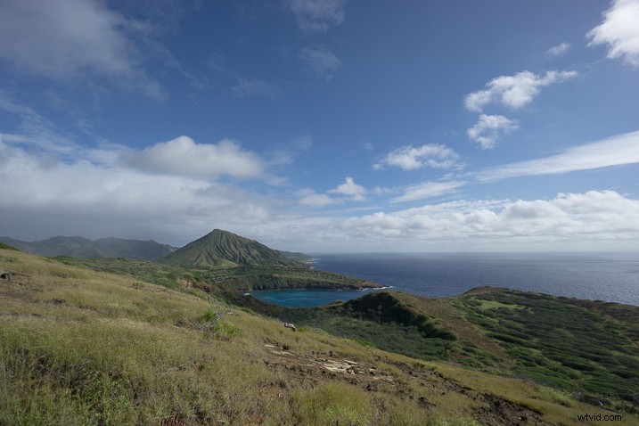 Master Photography Composition with Adobe Lightroom: A Step-by-Step Guide