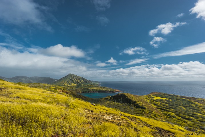 Master Photography Composition with Adobe Lightroom: A Step-by-Step Guide