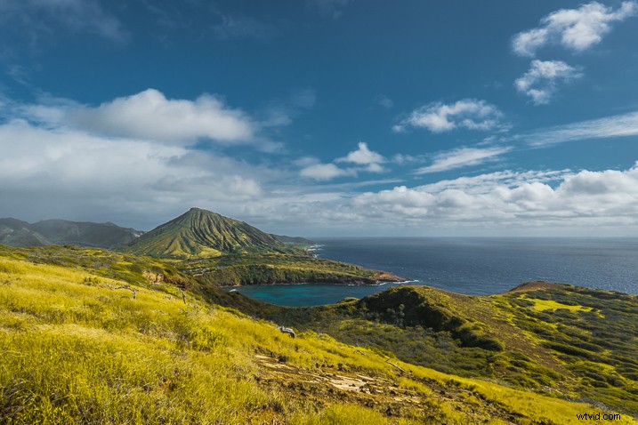 Master Photography Composition with Adobe Lightroom: A Step-by-Step Guide