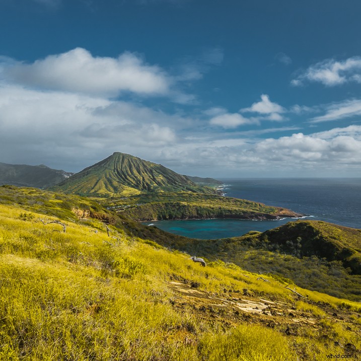 Master Photography Composition with Adobe Lightroom: A Step-by-Step Guide